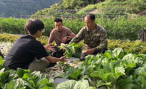 石磊部落小農教導北科大學生如何判斷蔬菜生長狀態及正確採收。