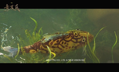 北科大仿生機械魚化身《素還真》黃金魚，維妙維肖。（圖片提供：霹靂國際）