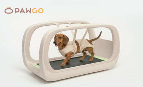 PAWGO高齡犬友善居家復健步行機