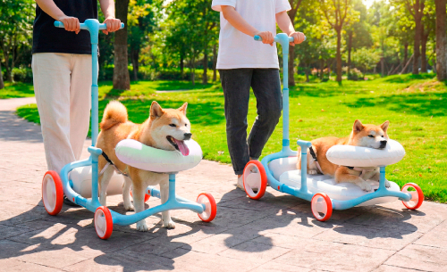 Cadomi高齡犬助行推車使用情境畫面